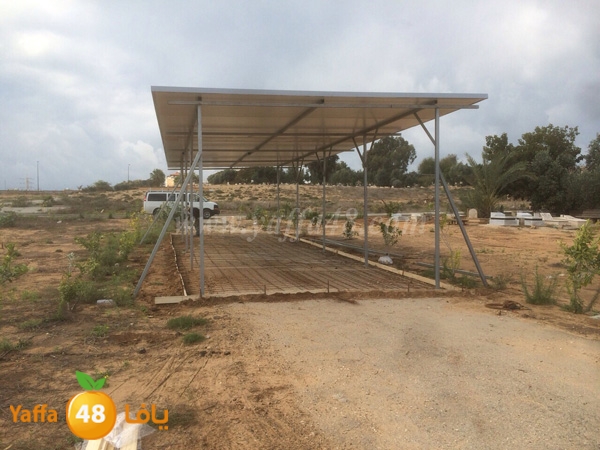 hai2a taso asmant (3).JPG